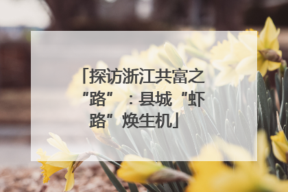 探访浙江共富之“路”：县城“虾路”焕生机