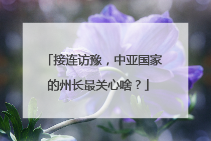 接连访豫，中亚国家的州长最关心啥？