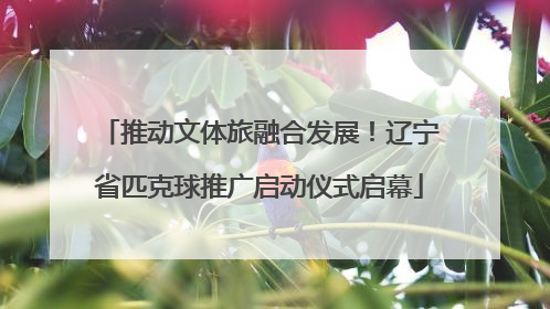 推动文体旅融合发展！辽宁省匹克球推广启动仪式启幕