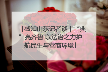 感知山东记者谈｜“典”亮齐鲁 以法治之力护航民生与营商环境