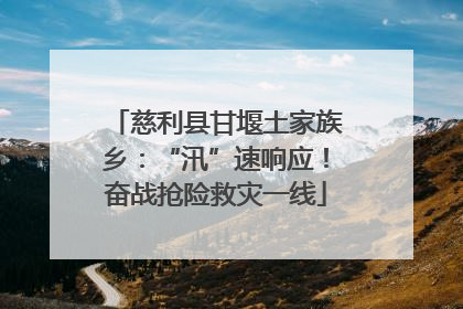 慈利县甘堰土家族乡：“汛”速响应！奋战抢险救灾一线
