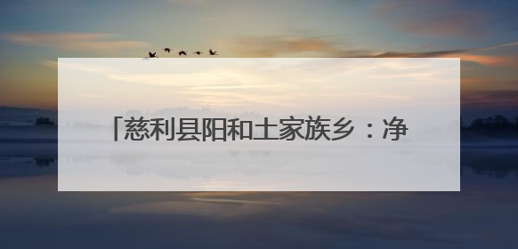 慈利县阳和土家族乡：净网清河，共护溇澧清波