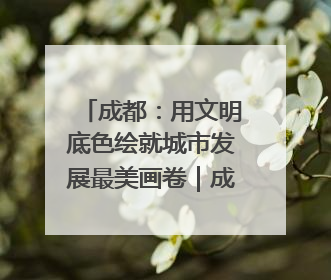 成都：用文明底色绘就城市发展最美画卷｜成都发展