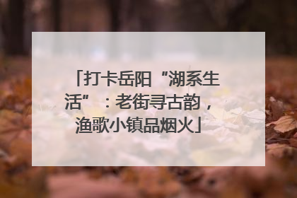 打卡岳阳“湖系生活”：老街寻古韵，渔歌小镇品烟火