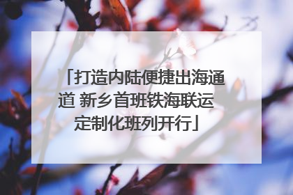 打造内陆便捷出海通道 新乡首班铁海联运定制化班列开行