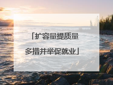 扩容量提质量 多措并举促就业