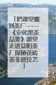 把课堂搬到茶厂——《安化黑茶品鉴》课堂走进益阳茶厂探秘茯砖茶非遗技艺