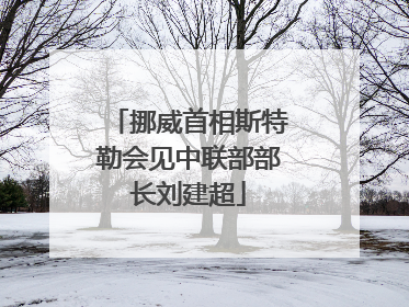 挪威首相斯特勒会见中联部部长刘建超