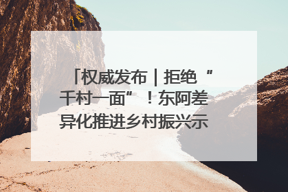 权威发布｜拒绝“千村一面”！东阿差异化推进乡村振兴示范片区建设