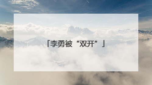 李勇被“双开”