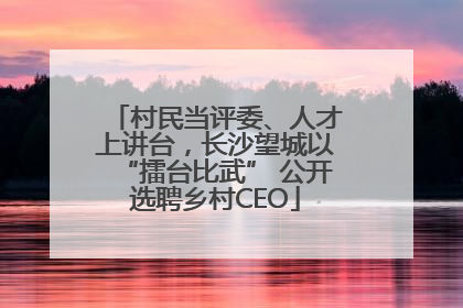 村民当评委、人才上讲台，长沙望城以“擂台比武” 公开选聘乡村CEO