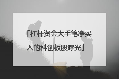 杠杆资金大手笔净买入的科创板股曝光