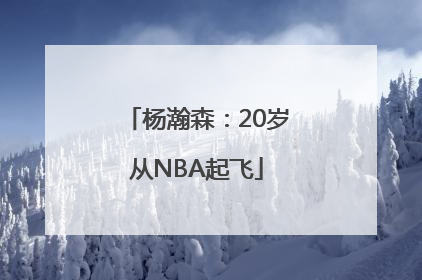 杨瀚森：20岁从NBA起飞