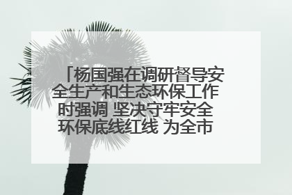 杨国强在调研督导安全生产和生态环保工作时强调 坚决守牢安全环保底线红线 为全市经济社会高质量发展提供坚强保障