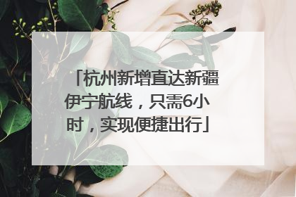 杭州新增直达新疆伊宁航线，只需6小时，实现便捷出行