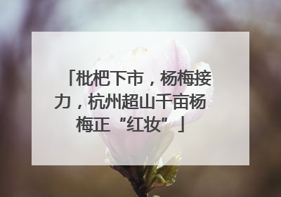 枇杷下市，杨梅接力，杭州超山千亩杨梅正“红妆”