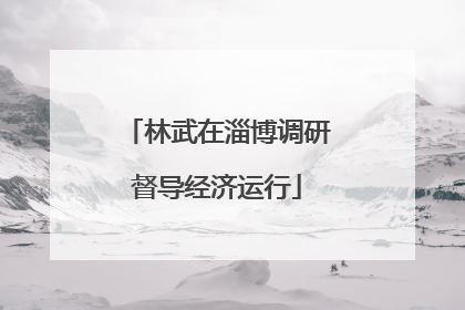 林武在淄博调研督导经济运行