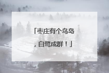 枣庄有个鸟岛，白鹭成群！