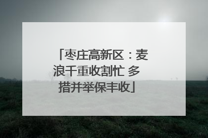 枣庄高新区：麦浪千重收割忙 多措并举保丰收