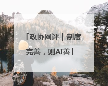 政协网评｜制度完善，则AI善