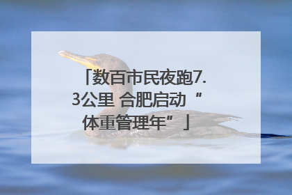数百市民夜跑7.3公里 合肥启动“体重管理年”