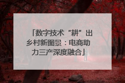 数字技术“耕”出乡村新图景：电商助力三产深度融合