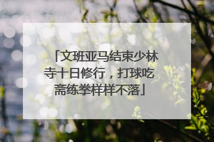 文班亚马结束少林寺十日修行，打球吃斋练拳样样不落