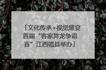 文化传承+视觉盛宴 首届“客家舞龙争霸赛”江西赣县举办