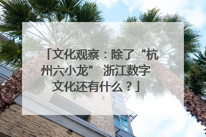 文化观察：除了“杭州六小龙” 浙江数字文化还有什么？