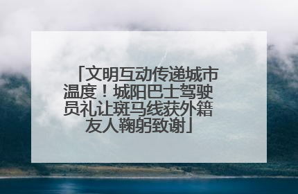 文明互动传递城市温度！城阳巴士驾驶员礼让斑马线获外籍友人鞠躬致谢