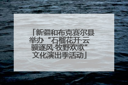 新疆和布克赛尔县举办“石榴花开·云骥逐风·牧野欢歌”文化演出季活动