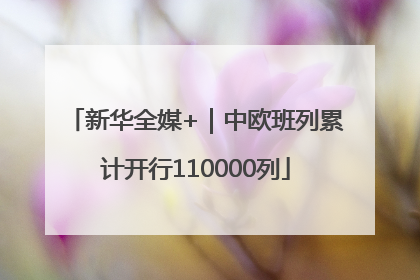 新华全媒+｜中欧班列累计开行110000列