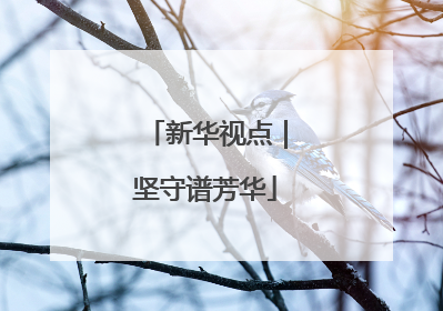 新华视点｜坚守谱芳华