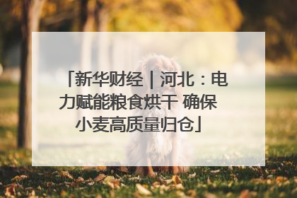 新华财经｜河北：电力赋能粮食烘干 确保小麦高质量归仓