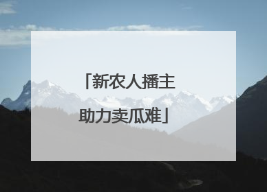 新农人播主 助力卖瓜难