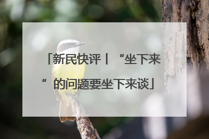 新民快评丨“坐下来”的问题要坐下来谈