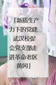 新质生产力下的党建 武汉校促会党支部走进革命老区黄冈