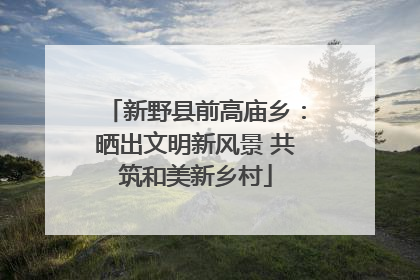 新野县前高庙乡：晒出文明新风景 共筑和美新乡村