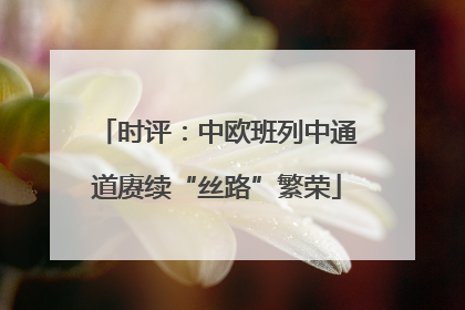时评：中欧班列中通道赓续“丝路”繁荣