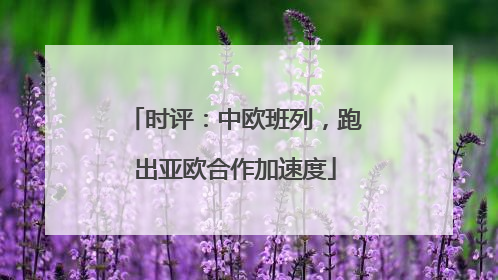 时评：中欧班列，跑出亚欧合作加速度
