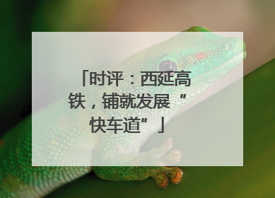 时评：西延高铁，铺就发展“快车道”