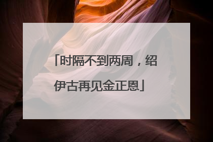 时隔不到两周，绍伊古再见金正恩