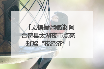 无锡援疆赋能 阿合奇县太湖夜市点亮璀璨“夜经济”