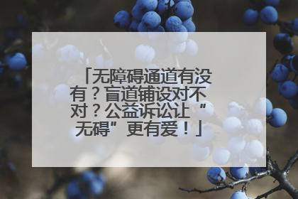 无障碍通道有没有？盲道铺设对不对？公益诉讼让“无碍”更有爱！