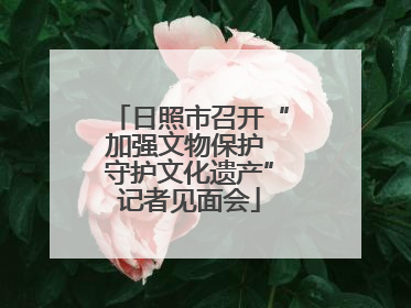 日照市召开“加强文物保护 守护文化遗产”记者见面会