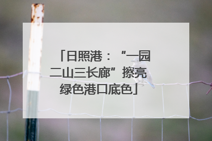 日照港：“一园二山三长廊”擦亮绿色港口底色