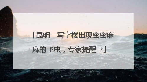 昆明一写字楼出现密密麻麻的飞虫，专家提醒→