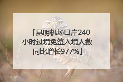 昆明机场口岸240小时过境免签入境人数同比增长977%