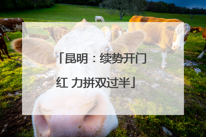 昆明：续势开门红 力拼双过半