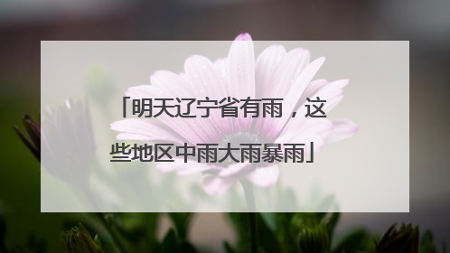 明天辽宁省有雨，这些地区中雨大雨暴雨